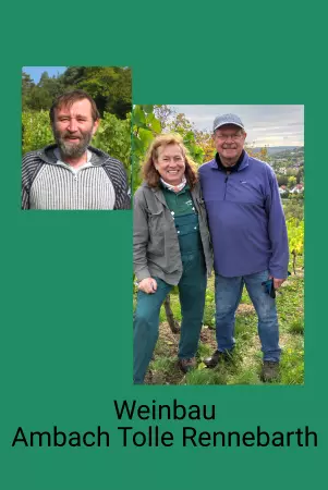 Hinweis Weinbau Ambach Bild